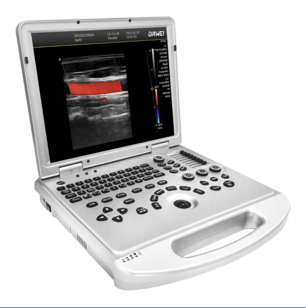 DW-L3
