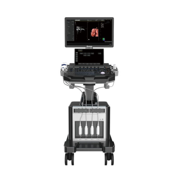DW- T30