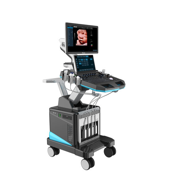 DW- T50