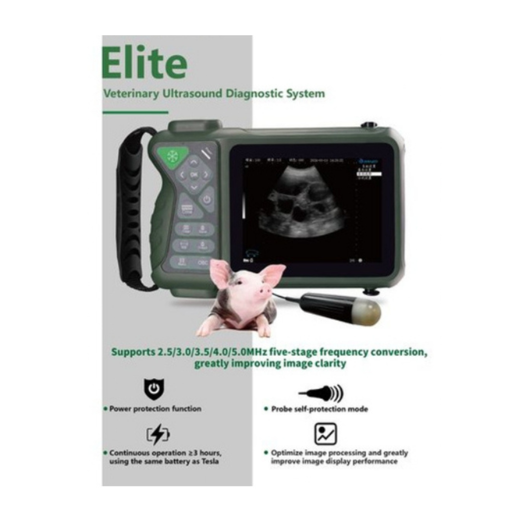 ELITE VETERINARY DESCRIPTION 1