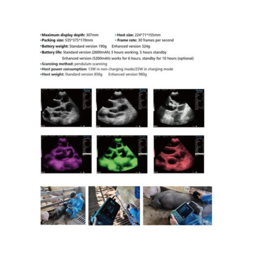 ELITE VETERINARY DESCRIPTION 3