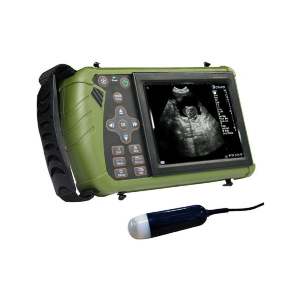 ELITE VETERINARY ULTRASOUND 1